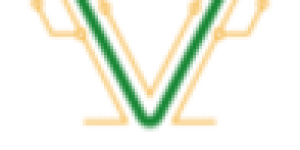 Logo V_Cam (1) (1)